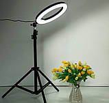 Професійна кільцева світлодіодна LED лампа SL300 (30 см).Селфи кільце,кільцевої світло для відео, фото, фото 10