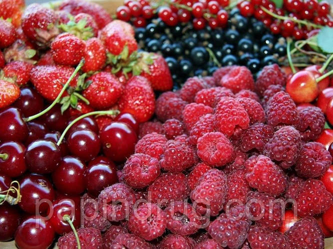 Настойка Ягодная. Рецепт от сайта http://papindrug.com "ПапинДруг"