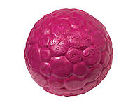 Игрушка для собак Boz Air Dog Ball Large Боз мяч (10 см)
