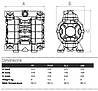 Пневматичний мембранний насос BOA Q55 AISI316+PTFE, фото 3