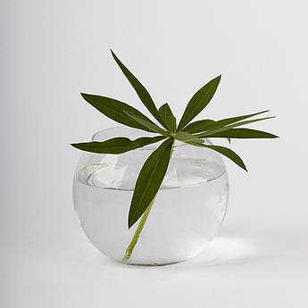 Ваза прозора скляна "Куля" h 12,5 (1,2 л)