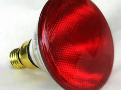 Інфрачервона лампа Lux Light IR PAR38 100 Вт, Червона