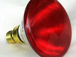 Інфрачервона лампа Lux Light IR PAR38 100 Вт, Червона, фото 2