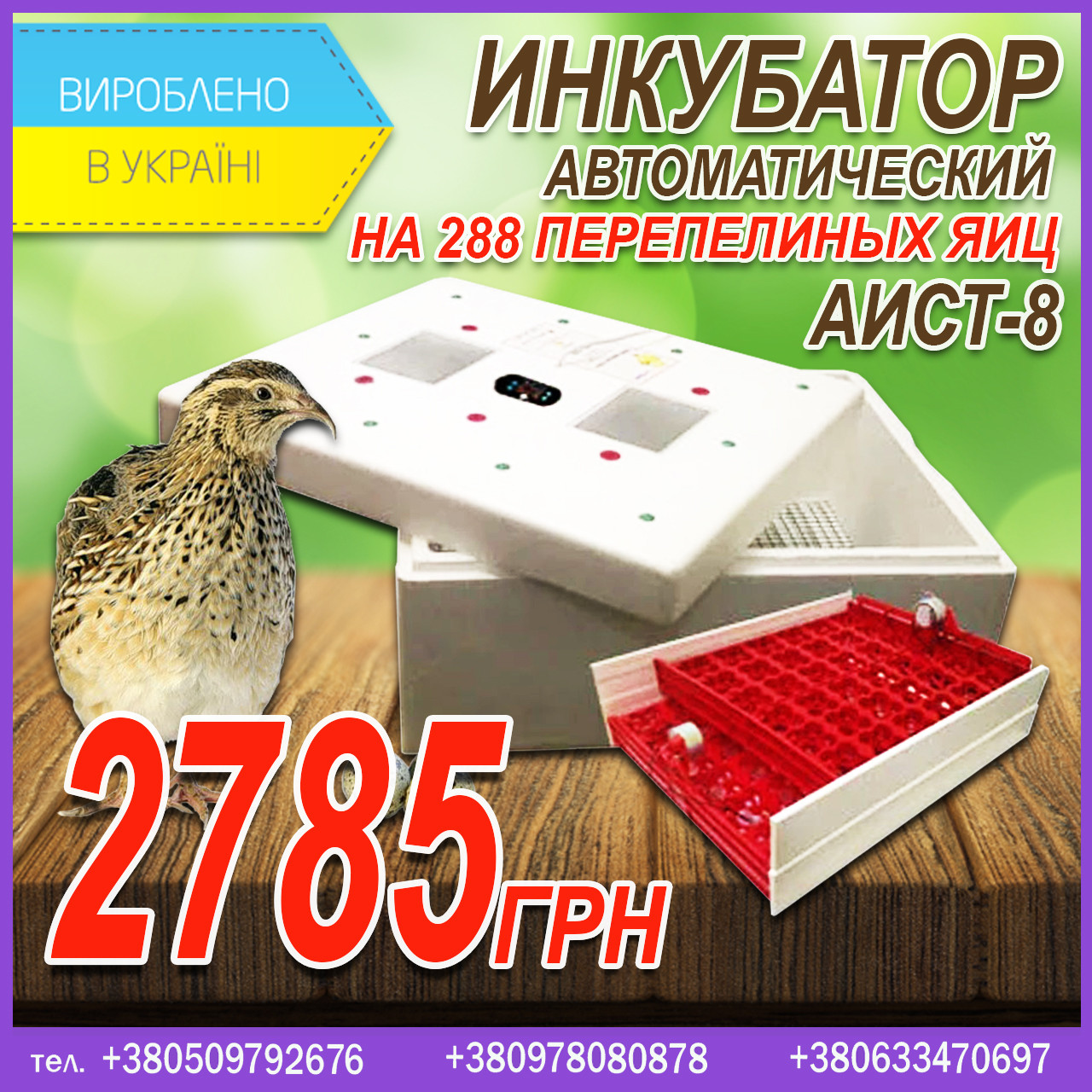 Інкубатор автоматичний Аист-8, на 288 перепелиних яєць