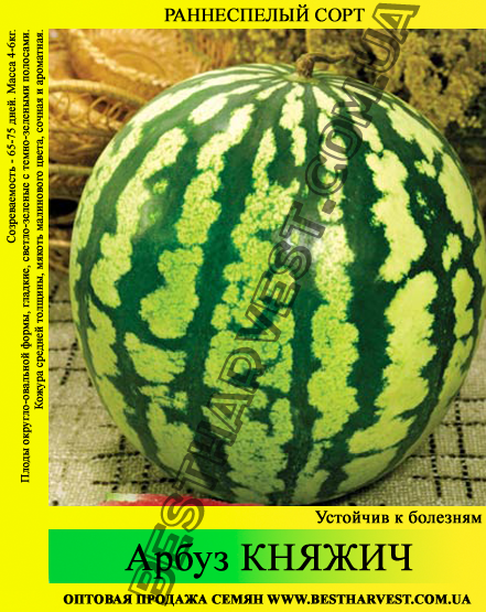 Насіння кавуна Княжич 0,5 кг