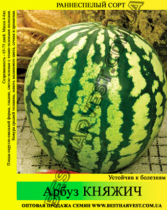 Насіння кавуна Княжич 0,5 кг, фото 1