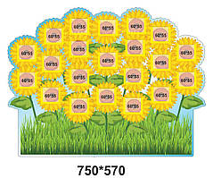 Стенд для фото класу - поле соняшників