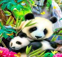 Діамантова мозаїка. Картина на підрамнику "Панди", 30х30см