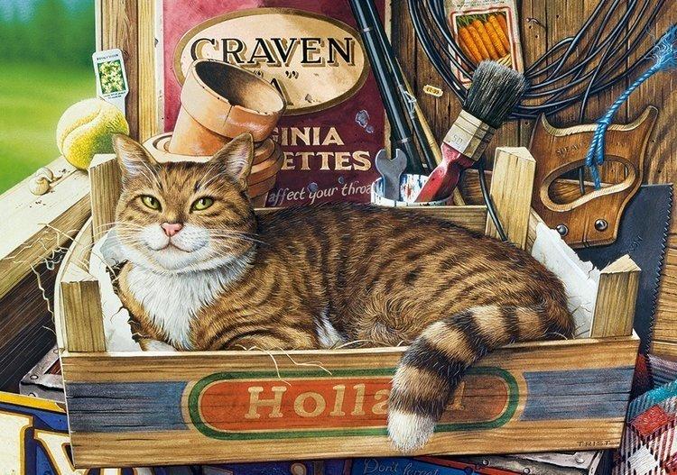 Пазли Кіт Фозергилл на 500 елементів