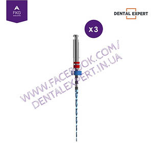 RaCe EVO 25/04 25/31 мм (3 шт.) www.dentalexpert.in.ua