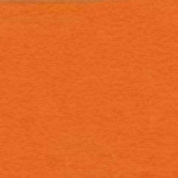 Папір для пастелі "Tiziano" А4 160г/м2 №21 arancio/помаранчевий №16F4121(10)