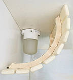 Світильник для лазні LINDNER Lisilux + Загорода світильника з термовставкою для лазні та сауни PRO, липа, фото 4