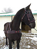 Упряж. шлея, наритник, повітропроникна, фото 4