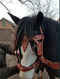 Все для коня, шлея, наритник, вуздечка,шкіра,ручна робота, фото 5