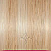 Натуральне Європейське Волосся на Заколках 40 см 110 грам, Меліроване №24/60А, фото 2