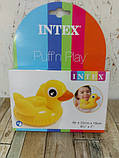 Надувна іграшка Intex 25см від 2-х років 58590 Каченя, фото 3