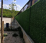 Зелений Рулонний паркан сітка, Альтернатива живій огорожі, фото 9