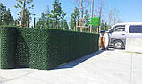 Зелений Рулонний паркан сітка, Альтернатива живій огорожі, фото 8