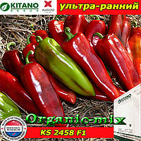 Крапія KS 2458 F1, насіння солодкого перцю, пакет 1000 насіння ТМ Kitano Seeds (Нідерланди)