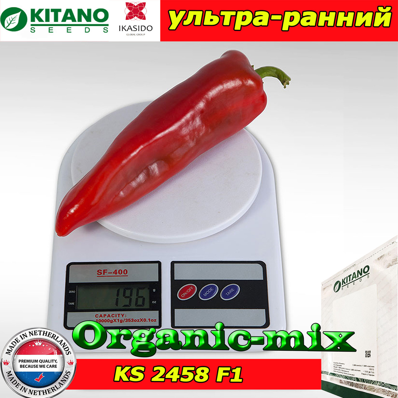 chipco様せ Капія KS 2458 F1, насіння солодкого перцю, ТМ Kitano Seeds