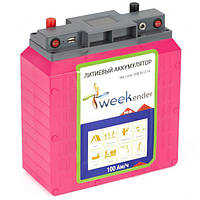 Літій-іонний акумулятор (Li-ion) 100 Ah