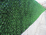 Зелений Рулонний паркан сітка, Альтернатива живій огорожі, фото 7