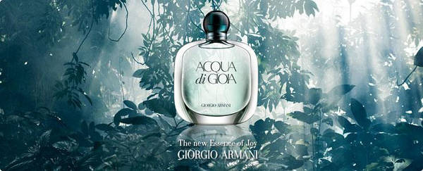 Giorgio armani joy hotsell