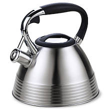 Чайник из нержавеющей стали 3 л Maestro MR-1315NEW
