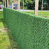 Зелений Рулонний паркан сітка, Альтернатива живій огорожі, фото 5