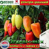 Насіння перцю ЯНІКА F1, пакет 1000 насіння, ТМ Kitano Seeds (Нідерланди), фото 2