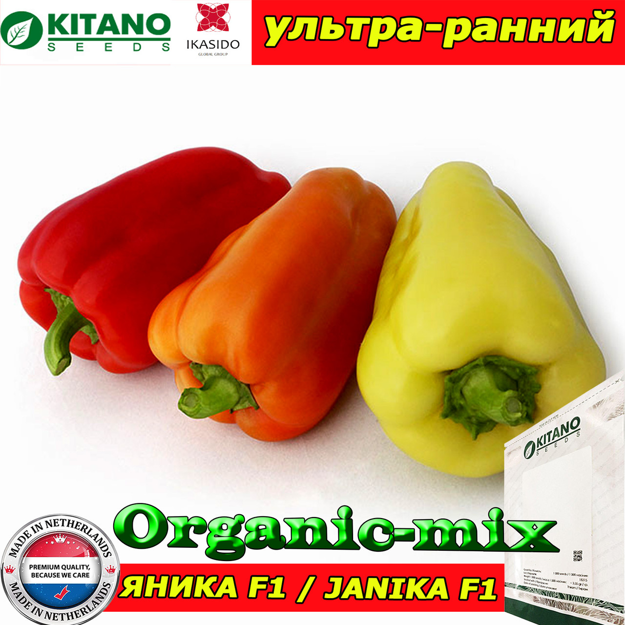 Насіння перцю ЯНІКА F1, пакет 500 насіння, ТМ Kitano Seeds (Нідерланди)