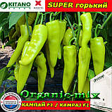 Перець гіркий КАМПАЙ F1, ТМ Kitano Seeds (Нідерланди), фото 3