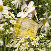 Оригінальні парфуми жіночі Marc Jacobs Daisy 100ml туалетна вода тестер, ніжний квітковий мускусний аромат, фото 5