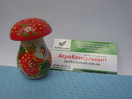 Сільничка гриб (маленька) — Петровий розпис/Solyanka mushroom (small) — Petrikov painting