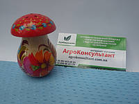 Солонка гриб (маленькая) - Петриковская роспись\ Solyanka mushroom (small) - Petrikov painting