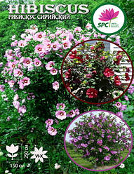 Гібіскус деревовидний (суміш)