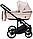 Дитяча коляска 2 в 1 Adamex Amelia Tip AM259, фото 6