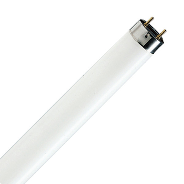 Лампа люмінесцентна TL-D 18w/830 PHILIPS G13
