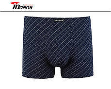 Чоловічі боксери (батал) 100% бавовна INDENA Арт.95107, фото 3