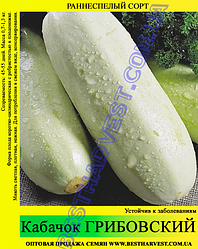 Насіння кабачка Грибовський 10кг (мішок)