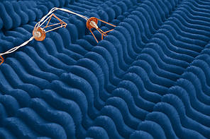 Плед покривало 200х220 Синій плюш смужка на ліжко, диван, фото 3