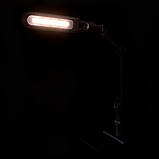 Настільна LED-лампа 10W на підставці + струбцина Срібло, фото 4