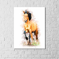Постер кінь Кінь акварельний Кінь намальованим Красивий кінь Подарунок на 50 років Картина кінь Кінь на білому тлі