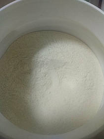 Versele Laga NutriBird A21, МОЛОКО для пташенят, суміш для ручного вигодовування, 100г