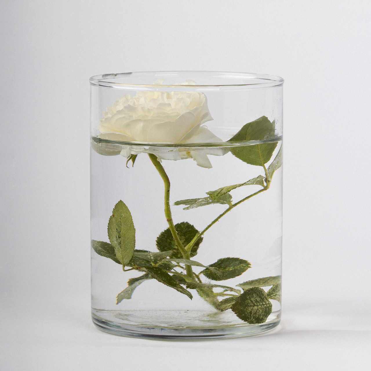 Колба, ваза, підсвічник прозорий h 150 d 100 об'єм 1л., фото 1