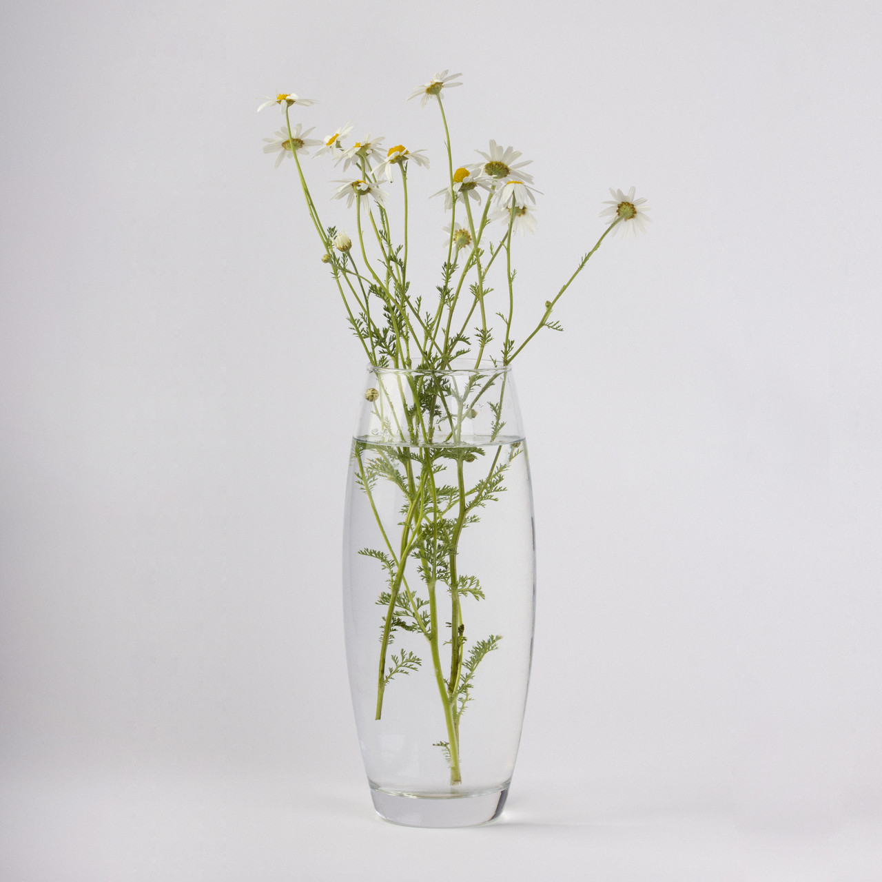 Ваза скляна прозора "Оріон" h 310 Ø 130 мм, фото 1