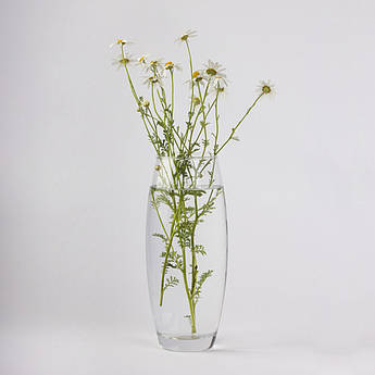 Ваза скляна прозора "Оріон" h 310 Ø 130 мм