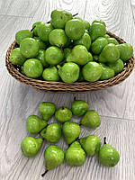 Муляж груші, штучний фрукт-груша зелена, фото 2