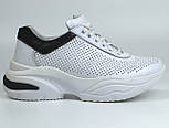 Кросівки шкіряні білі перфорація літнє жіноче взуття на платформі Rosso Avangard Mozza White&BlackPerf, фото 4