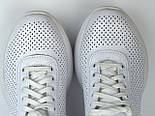 Кросівки шкіряні білі перфорація літнє жіноче взуття на платформі Rosso Avangard Mozza White&BlackPerf, фото 9